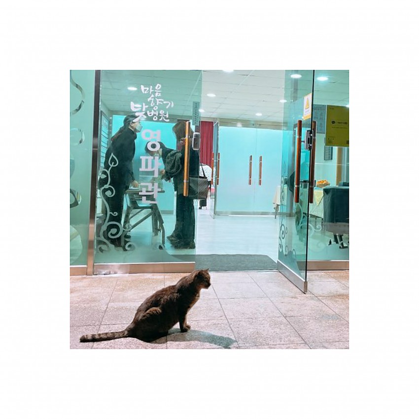 7ceeb7e35db5081c953942477a92910d_1607306